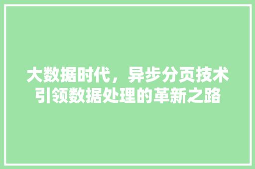 大数据时代，异步分页技术引领数据处理的革新之路