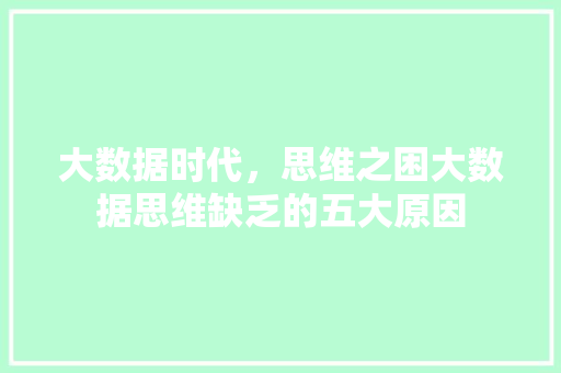大数据时代，思维之困大数据思维缺乏的五大原因