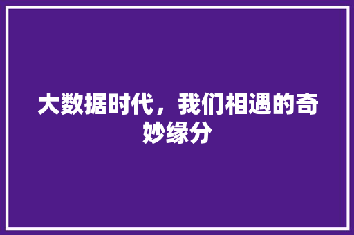 大数据时代，我们相遇的奇妙缘分 编程语言