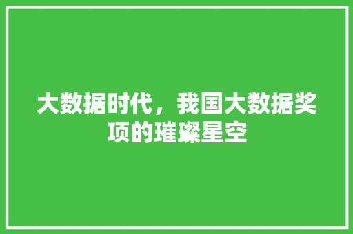 大数据时代,我国大数据奖项的璀璨星空 编程语言 大数据时代,我国大数据奖项的璀璨星空 编程语言