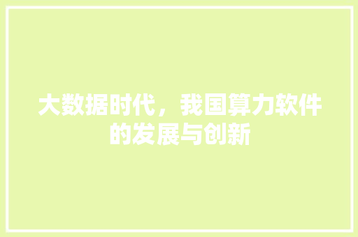 大数据时代，我国算力软件的发展与创新 编程语言