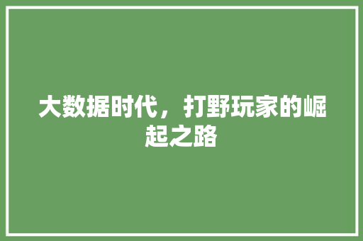 大数据时代，打野玩家的崛起之路 编程语言