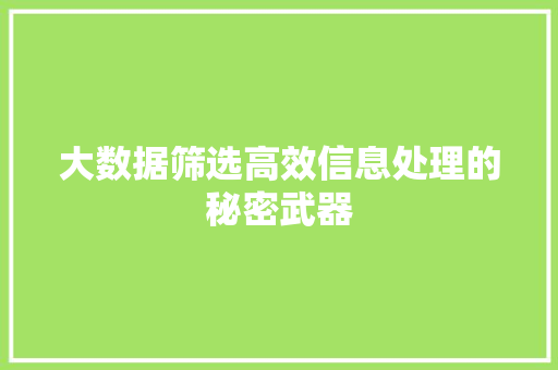 大数据筛选高效信息处理的秘密武器