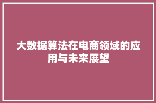 大数据算法在电商领域的应用与未来展望