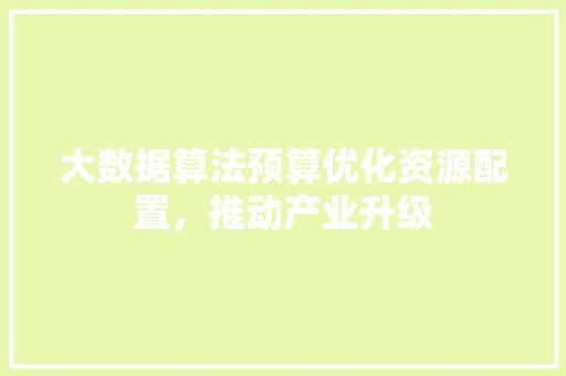大数据算法预算优化资源配置，推动产业升级
