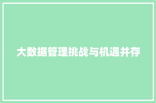 大数据管理挑战与机遇并存