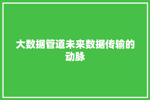 大数据管道未来数据传输的动脉