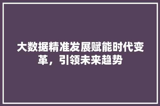 大数据精准发展赋能时代变革，引领未来趋势