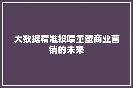 大数据精准投喂重塑商业营销的未来