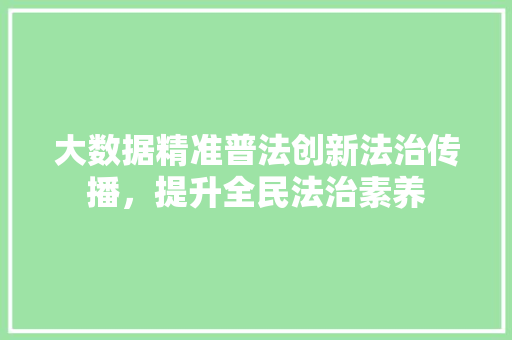 大数据精准普法创新法治传播，提升全民法治素养