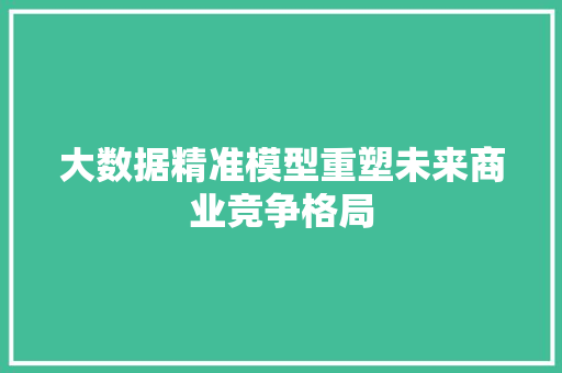 大数据精准模型重塑未来商业竞争格局