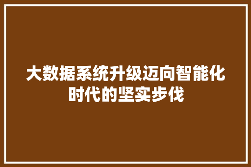 大数据系统升级迈向智能化时代的坚实步伐