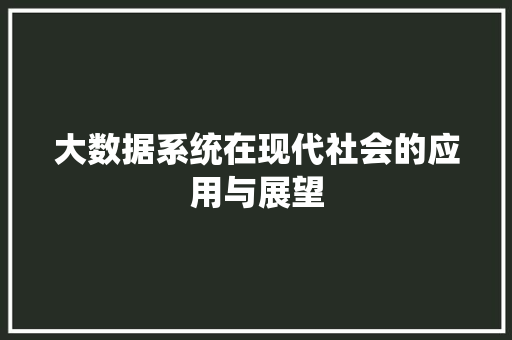 大数据系统在现代社会的应用与展望