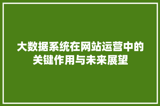 大数据系统在网站运营中的关键作用与未来展望