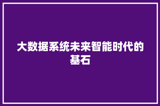 大数据系统未来智能时代的基石 大数据系统未来智能时代的基石