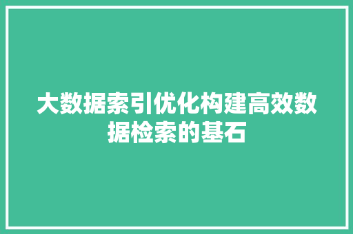 大数据索引优化构建高效数据检索的基石