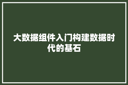 大数据组件入门构建数据时代的基石