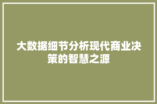 大数据细节分析现代商业决策的智慧之源