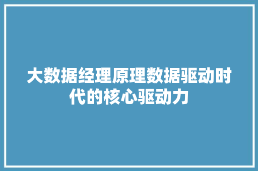 大数据经理原理数据驱动时代的核心驱动力 大数据经理原理数据驱动时代的核心驱动力