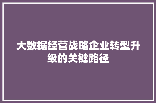 大数据经营战略企业转型升级的关键路径 大数据经营战略企业转型升级的关键路径