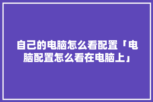 自己的电脑怎么看配置「电脑配置怎么看在电脑上」 自己的电脑怎么看配置「电脑配置怎么看在电脑上」 网络技术