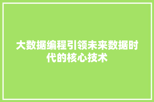 大数据编程引领未来数据时代的核心技术