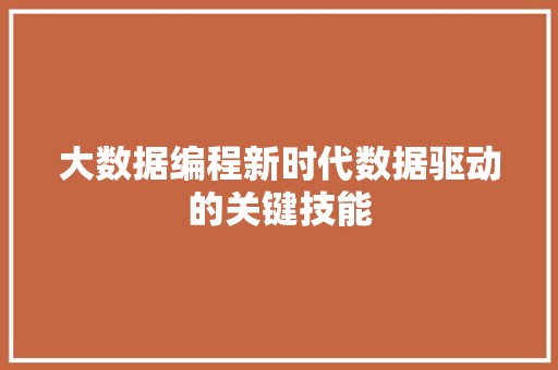大数据编程新时代数据驱动的关键技能