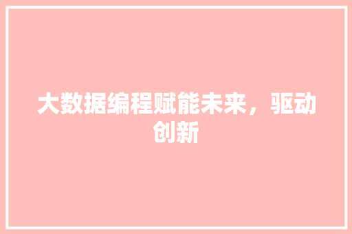 大数据编程赋能未来，驱动创新