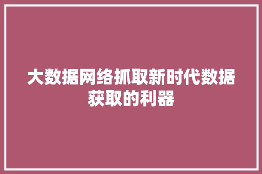 大数据网络抓取新时代数据获取的利器