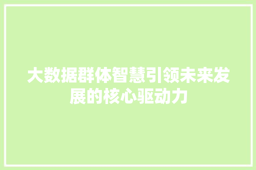 大数据群体智慧引领未来发展的核心驱动力