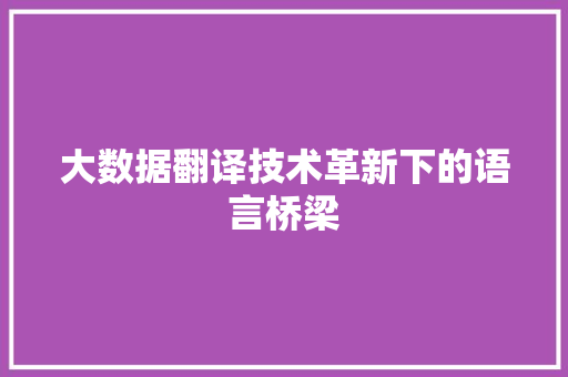 大数据翻译技术革新下的语言桥梁