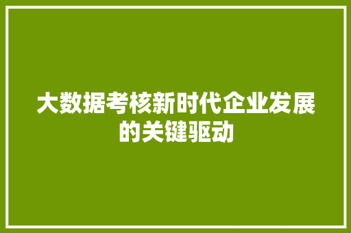 大数据考核新时代企业发展的关键驱动