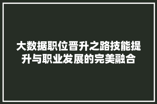 大数据职位晋升之路技能提升与职业发展的完美融合
