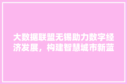 大数据联盟无锡助力数字经济发展，构建智慧城市新蓝图