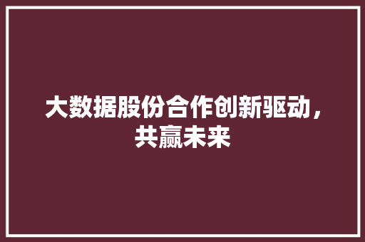 大数据股份合作创新驱动，共赢未来