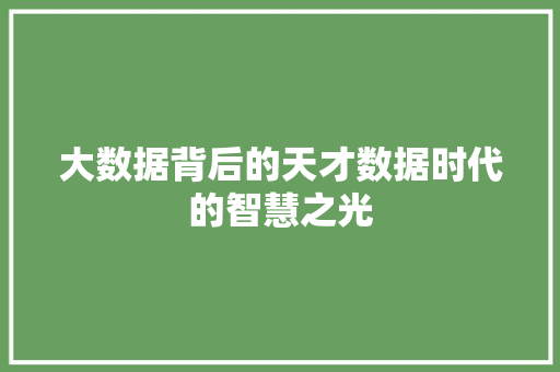 大数据背后的天才数据时代的智慧之光