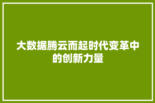 大数据腾云而起时代变革中的创新力量