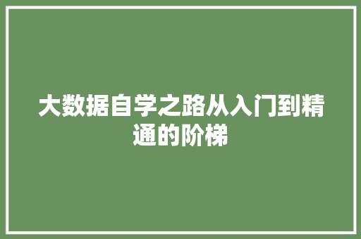 大数据自学之路从入门到精通的阶梯