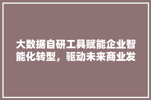大数据自研工具赋能企业智能化转型，驱动未来商业发展