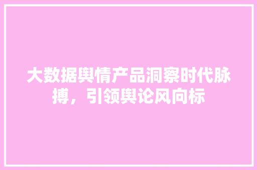 大数据舆情产品洞察时代脉搏，引领舆论风向标