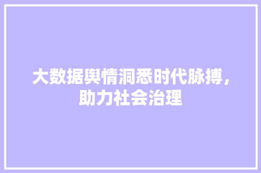 大数据舆情洞悉时代脉搏，助力社会治理