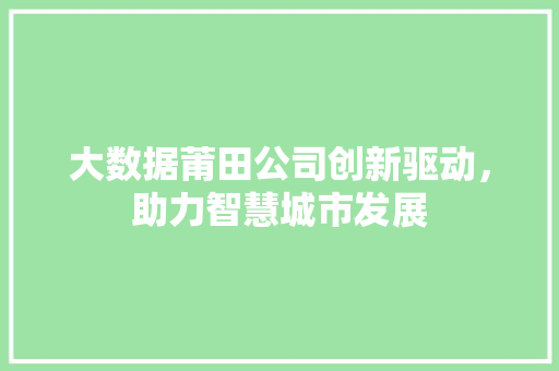 大数据莆田公司创新驱动，助力智慧城市发展 电脑故障维修