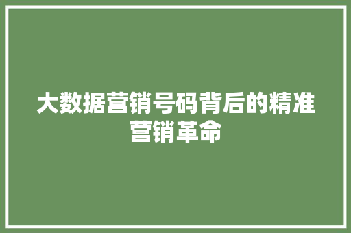 大数据营销号码背后的精准营销革命