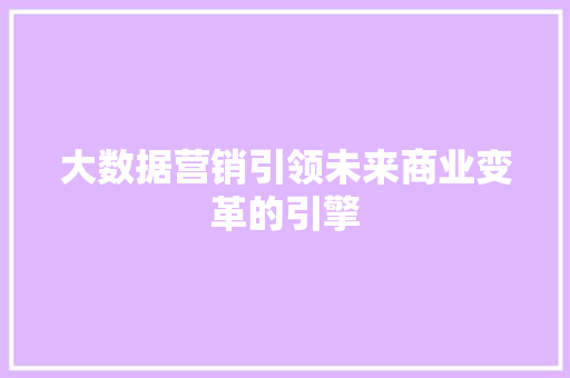 大数据营销引领未来商业变革的引擎