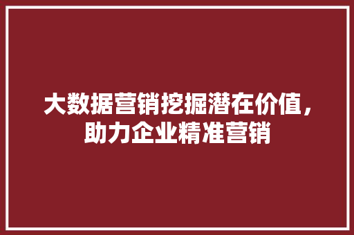 大数据营销挖掘潜在价值，助力企业精准营销