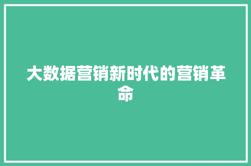 大数据营销新时代的营销革命