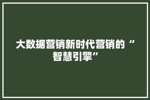 大数据营销新时代营销的“智慧引擎” 编程语言 大数据营销新时代营销的“智慧引擎” 编程语言