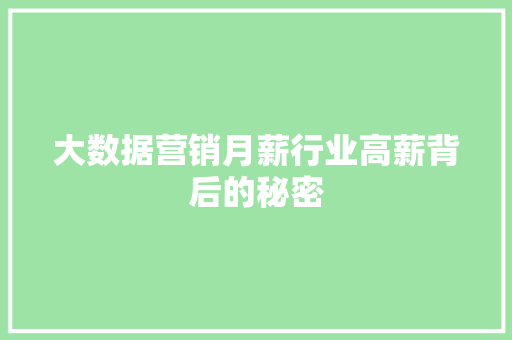 大数据营销月薪行业高薪背后的秘密