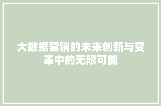 大数据营销的未来创新与变革中的无限可能