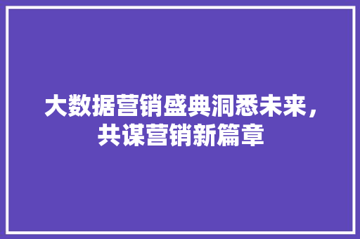 大数据营销盛典洞悉未来，共谋营销新篇章